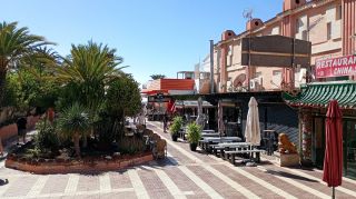 1771195356_GC-CC Jardin del Sol (Pl Ingles) 2026-01.jpg